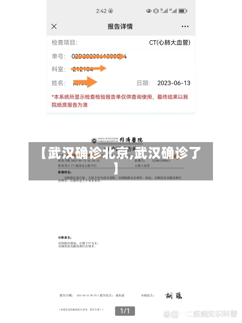 【武汉确诊北京,武汉确诊了】-第2张图片