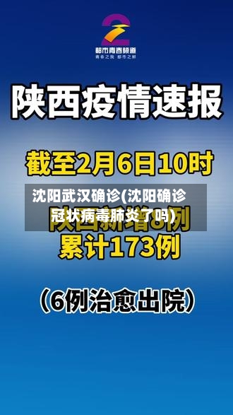 沈阳武汉确诊(沈阳确诊冠状病毒肺炎了吗)-第2张图片