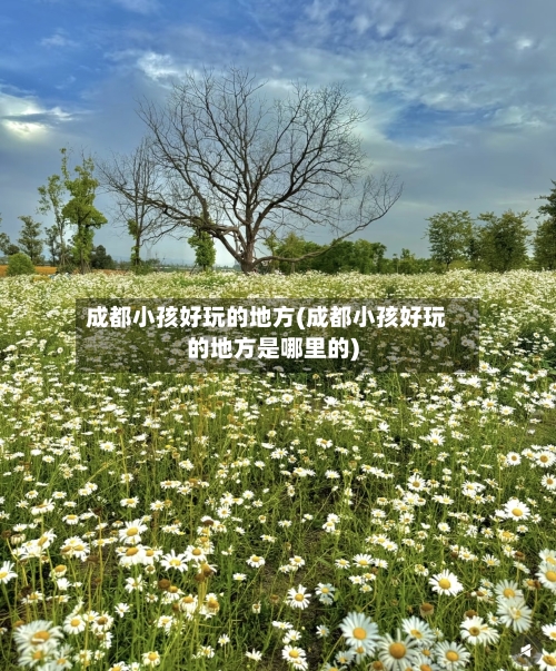 成都小孩好玩的地方(成都小孩好玩的地方是哪里的)