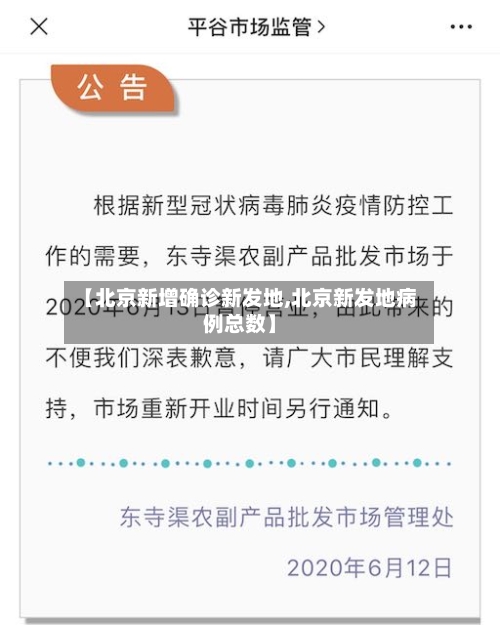【北京新增确诊新发地,北京新发地病例总数】-第2张图片
