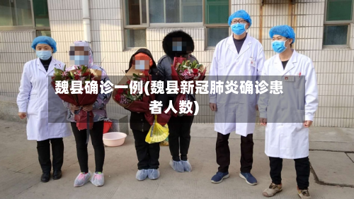 魏县确诊一例(魏县新冠肺炎确诊患者人数)