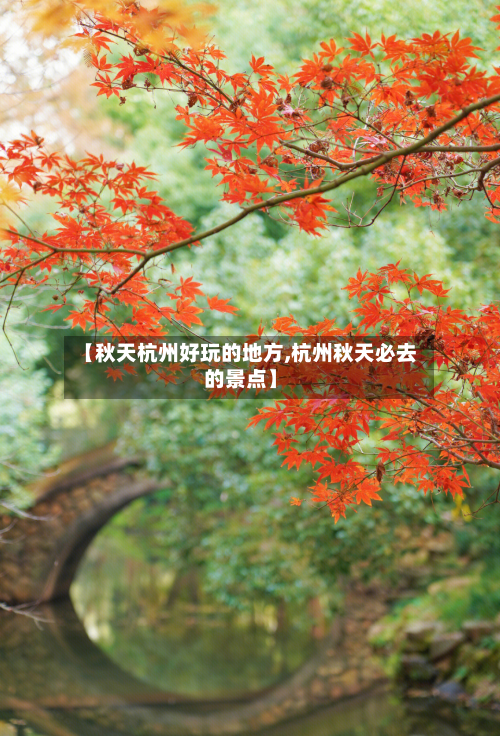 【秋天杭州好玩的地方,杭州秋天必去的景点】-第3张图片