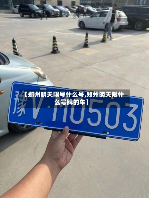 【郑州明天限号什么号,郑州明天限什么号牌的车】-第2张图片