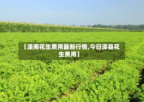 【滦南花生费用最新行情,今日滦县花生费用】-第2张图片