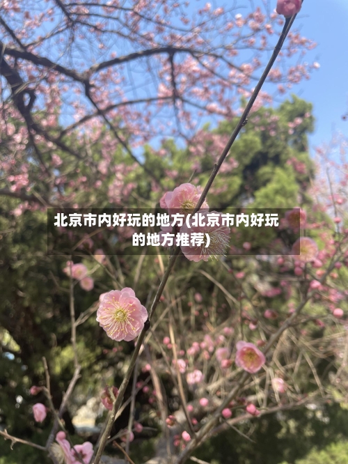 北京市内好玩的地方(北京市内好玩的地方推荐)