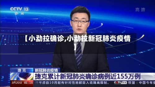 【小勐拉确诊,小勐拉新冠肺炎疫情】