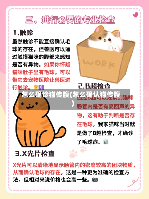 怎么确诊猫传腹(怎么确认猫传腹)