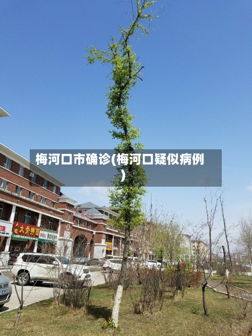 梅河口市确诊(梅河口疑似病例)-第3张图片