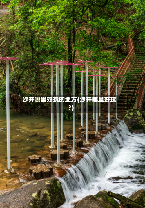 沙井哪里好玩的地方(沙井哪里好玩?)