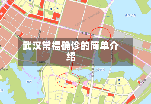 武汉常福确诊的简单介绍