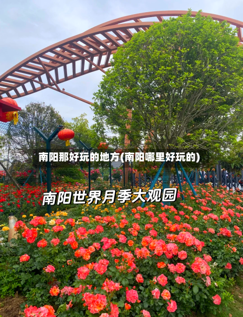 南阳那好玩的地方(南阳哪里好玩的)-第3张图片