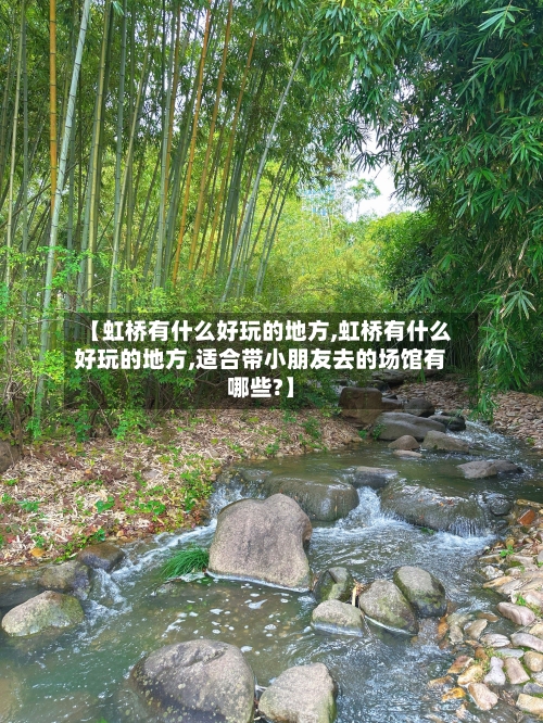 【虹桥有什么好玩的地方,虹桥有什么好玩的地方,适合带小朋友去的场馆有哪些?】