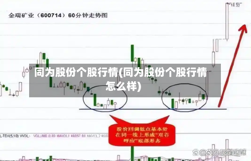 同为股份个股行情(同为股份个股行情怎么样)-第2张图片