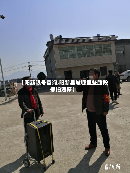 【阳新限号查询,阳新县城哪里些路段抓拍违停】-第2张图片