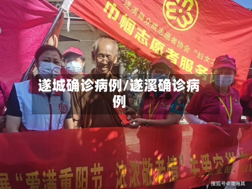遂城确诊病例/遂溪确诊病例