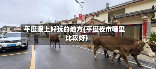 平度晚上好玩的地方(平度夜市哪里比较好)-第3张图片