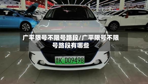 广平限号不限号路段/广平限号不限号路段有哪些-第2张图片