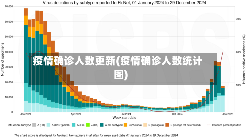 疫情确诊人数更新(疫情确诊人数统计图)-第2张图片