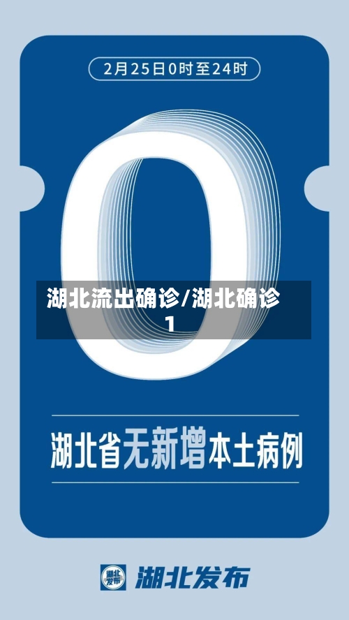 湖北流出确诊/湖北确诊1