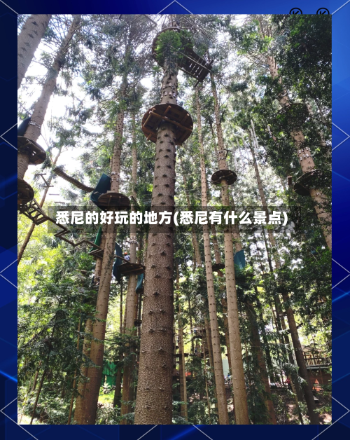 悉尼的好玩的地方(悉尼有什么景点)