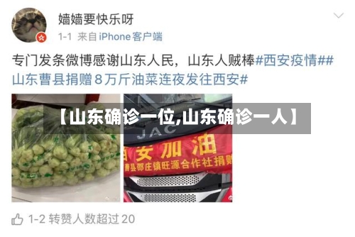 【山东确诊一位,山东确诊一人】-第3张图片