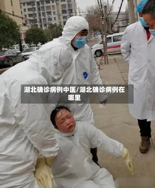 湖北确诊病例中医/湖北确诊病例在哪里-第3张图片