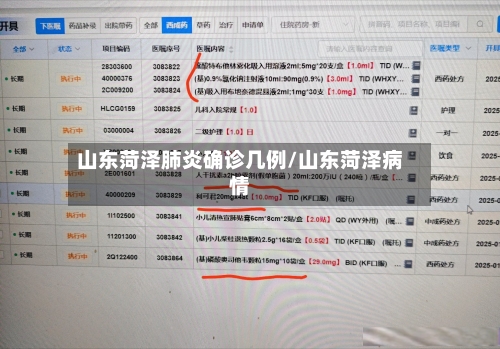 山东菏泽肺炎确诊几例/山东菏泽病情-第3张图片