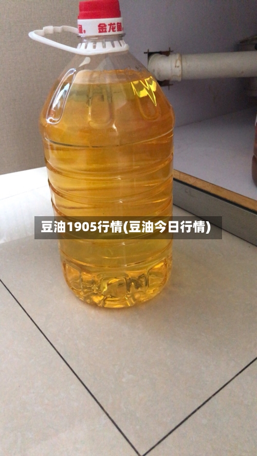 豆油1905行情(豆油今日行情)