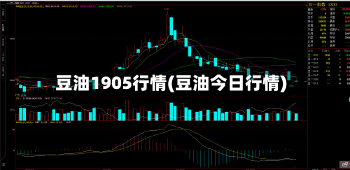 豆油1905行情(豆油今日行情)-第2张图片