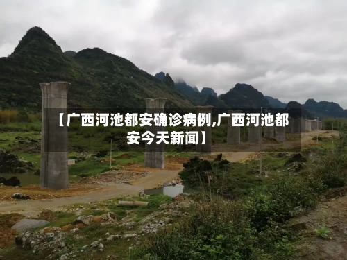 【广西河池都安确诊病例,广西河池都安今天新闻】
