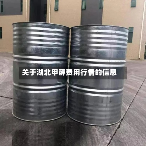 关于湖北甲醇费用行情的信息