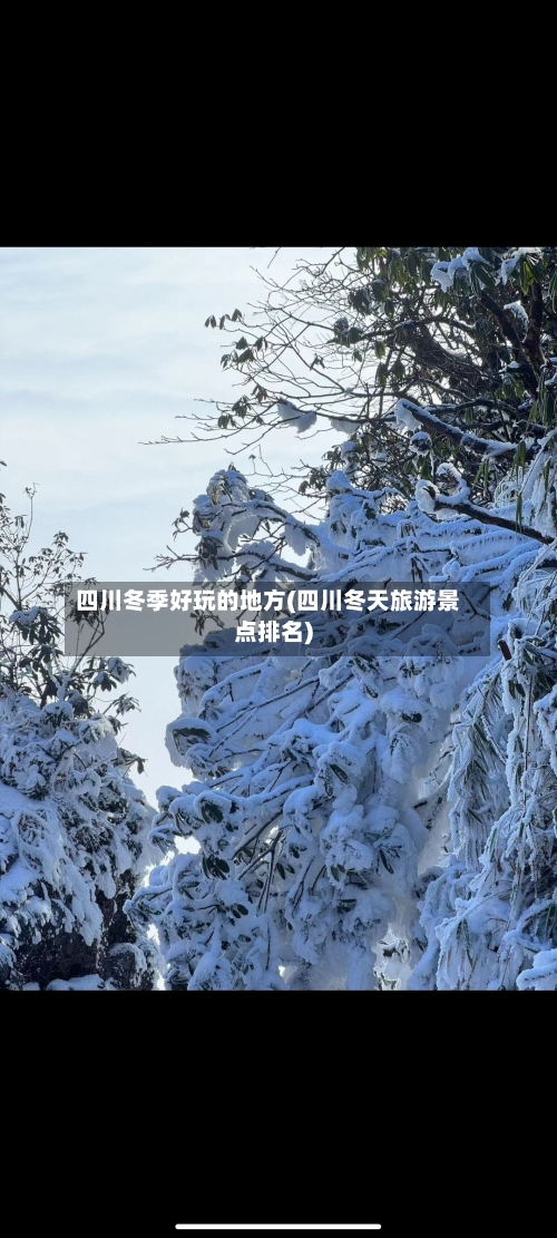 四川冬季好玩的地方(四川冬天旅游景点排名)-第3张图片