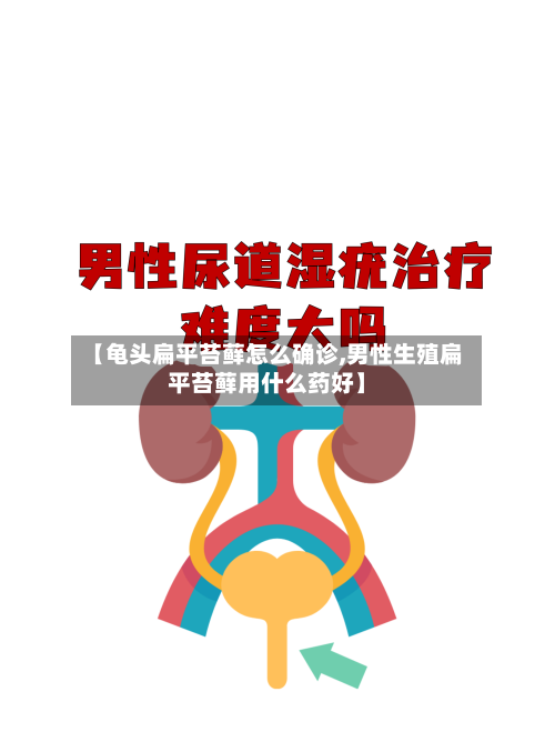 【龟头扁平苔藓怎么确诊,男性生殖扁平苔藓用什么药好】