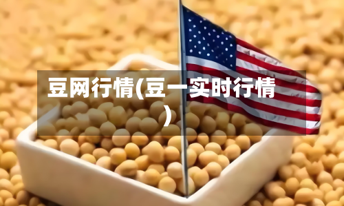 豆网行情(豆一实时行情)