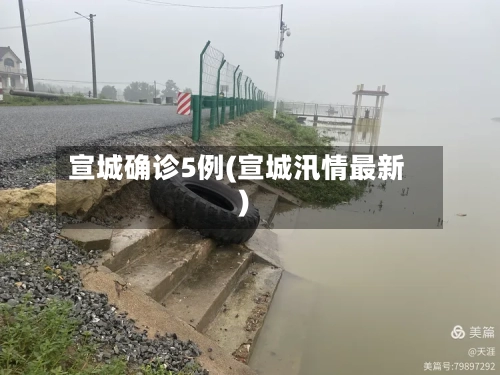 宣城确诊5例(宣城汛情最新)