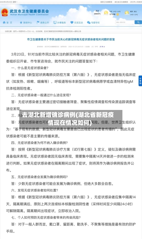 去湖北新增确诊病例(湖北省新冠疫情现在情况如何)-第3张图片