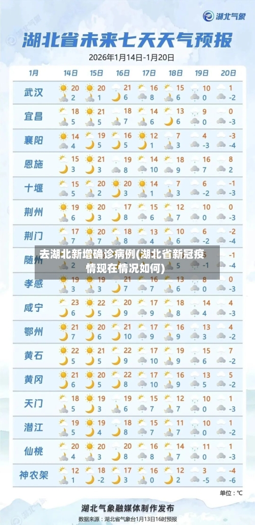 去湖北新增确诊病例(湖北省新冠疫情现在情况如何)-第2张图片