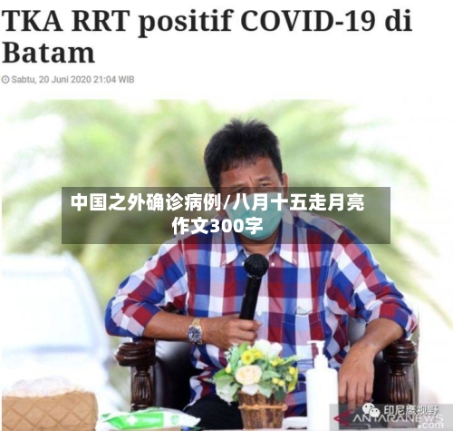 中国之外确诊病例/八月十五走月亮作文300字