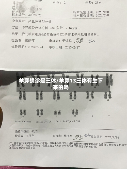 羊穿确诊是三体/羊穿13三体有生下来的吗