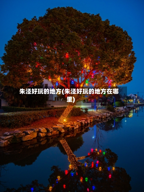 朱泾好玩的地方(朱泾好玩的地方在哪里)