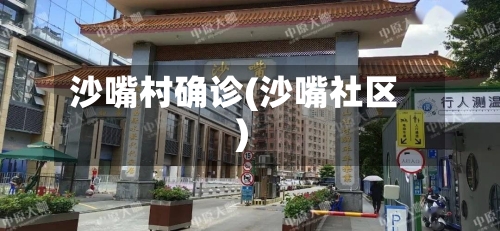 沙嘴村确诊(沙嘴社区)