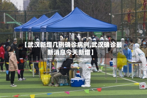 【武汉新增几例确诊病例,武汉确诊最新消息今天新增】