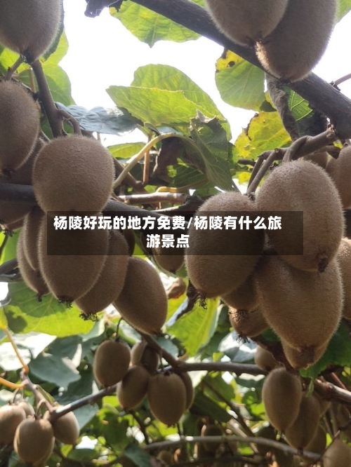 杨陵好玩的地方免费/杨陵有什么旅游景点-第2张图片