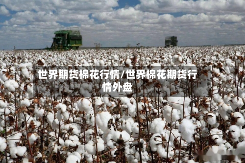 世界期货棉花行情/世界棉花期货行情外盘