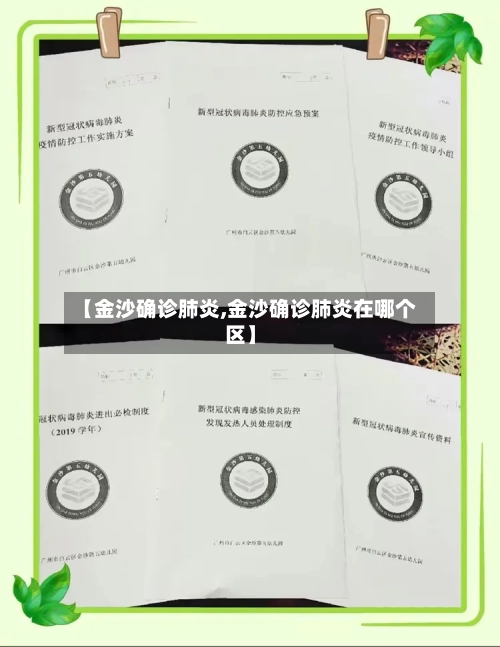 【金沙确诊肺炎,金沙确诊肺炎在哪个区】-第3张图片