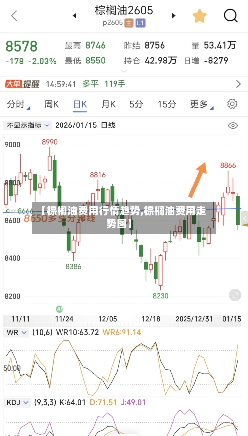 【棕榈油费用行情趋势,棕榈油费用走势图】-第2张图片