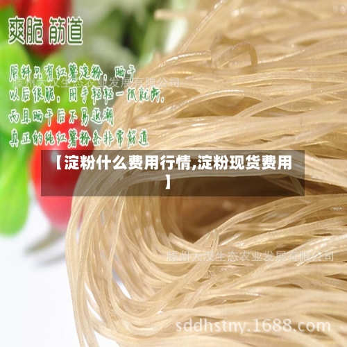 【淀粉什么费用行情,淀粉现货费用】-第3张图片