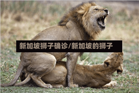 新加坡狮子确诊/新加坡的狮子-第2张图片