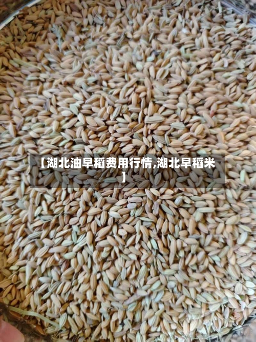 【湖北油早稻费用行情,湖北早稻米】