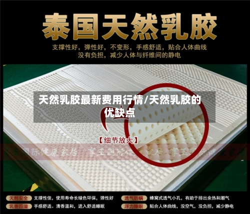 天然乳胶最新费用行情/天然乳胶的优缺点